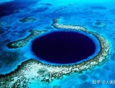 约基奇比分优势明显结果意外的简单介绍|fg电游